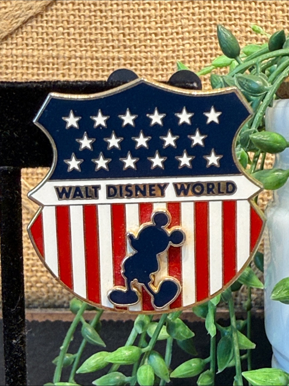 Disney Shield Trading Pin